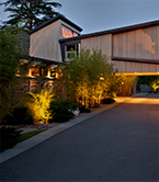 02 Springer-Lu_thumb